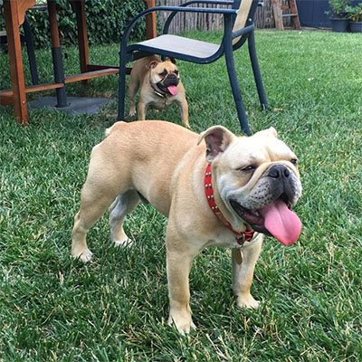 hostel-hobart-tasmania-22