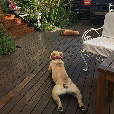 hostel-hobart-tasmania-5